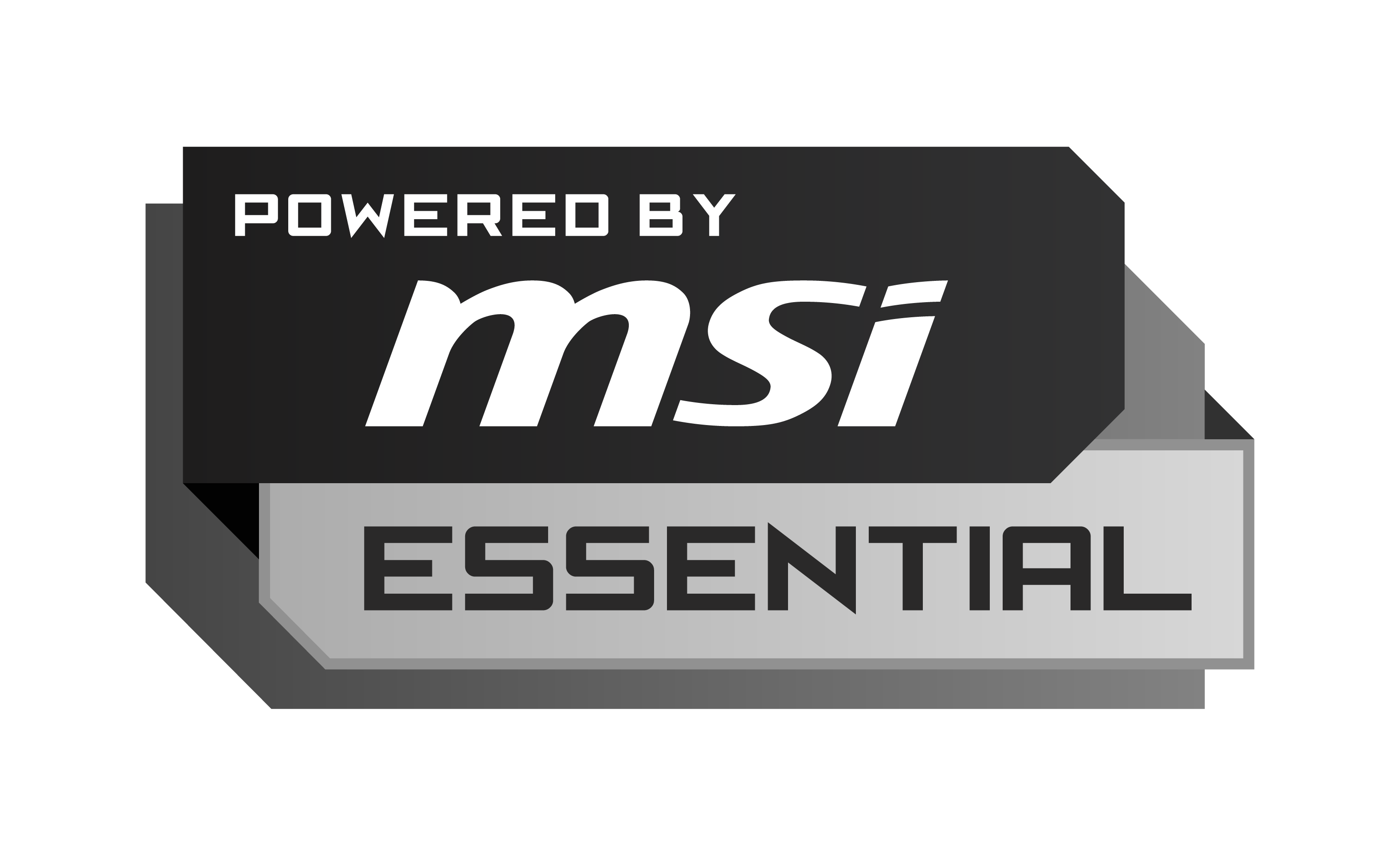 MSI ESSENTIAL